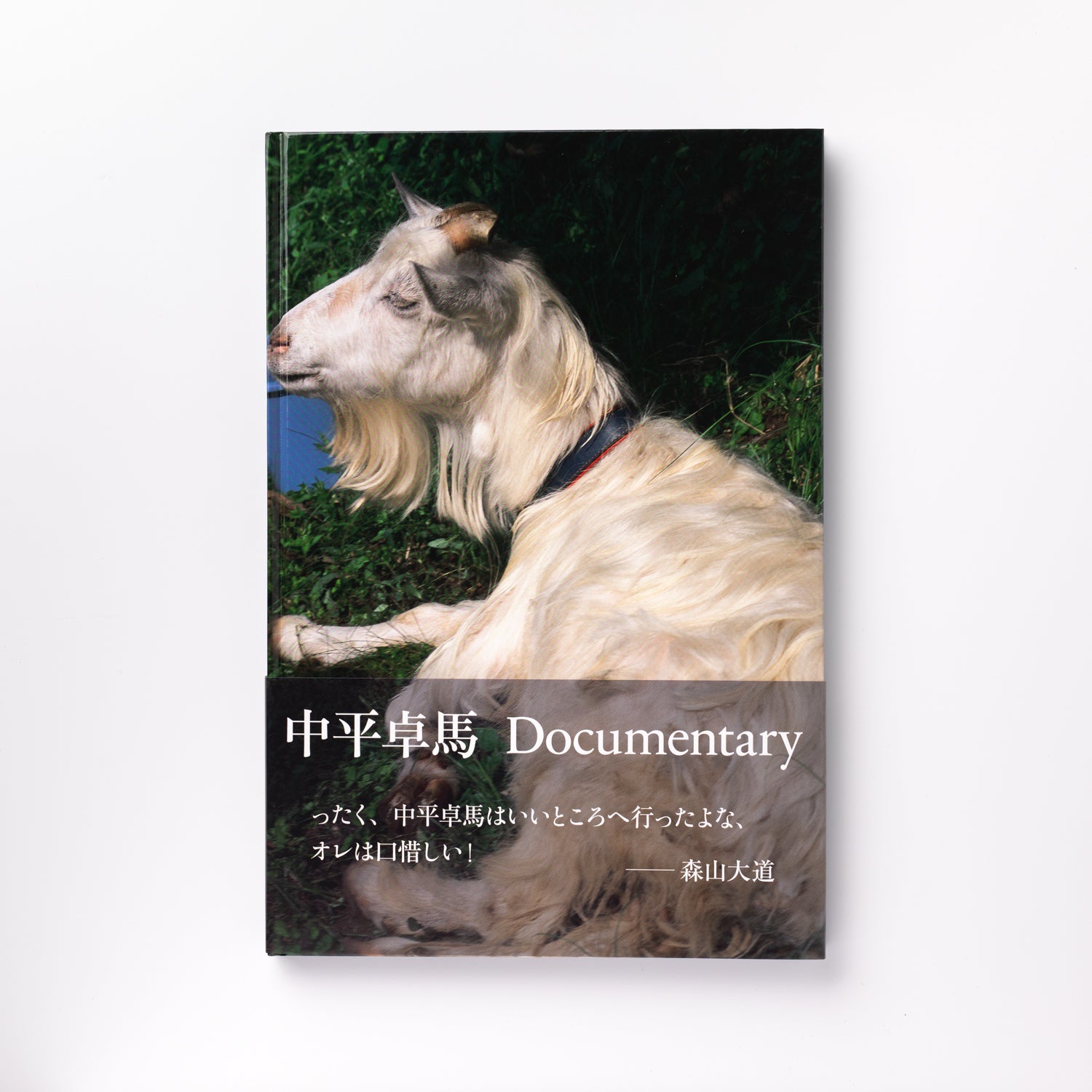 Mint) Documentary by 中平卓馬 – IACK