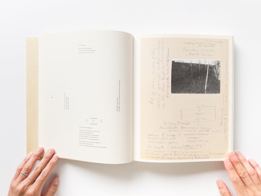 Unfinished Dissertation by Boris Mikhailov