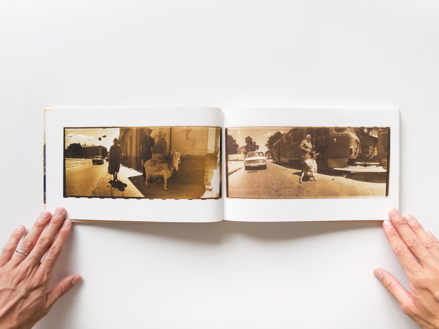 Am Boden / By the Ground + Die Dammerung / At Dusk by Boris Mikhailov