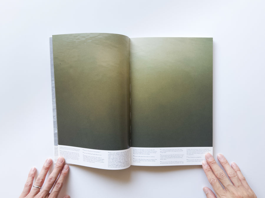 (Steidl Edition) Another Water by Roni horn