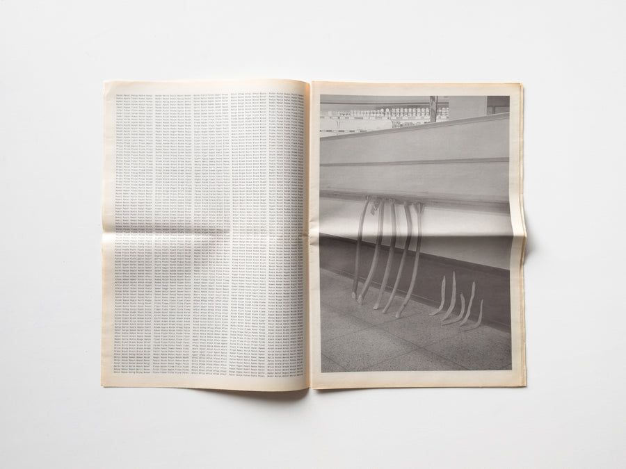 Newspaper with Fives by Mark Manders and Roger Willems