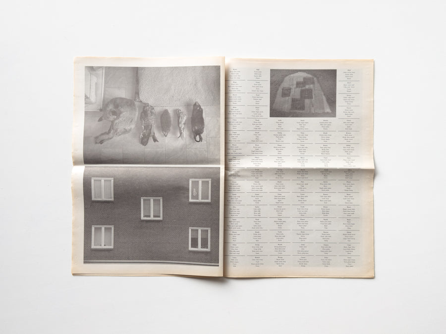 Newspaper with Fives by Mark Manders and Roger Willems