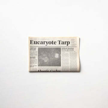 Eucaryote Tarp by Mark Manders