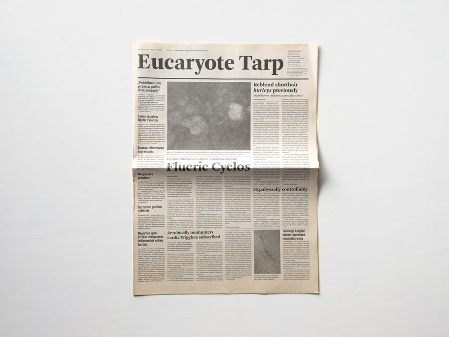 Eucaryote Tarp by Mark Manders