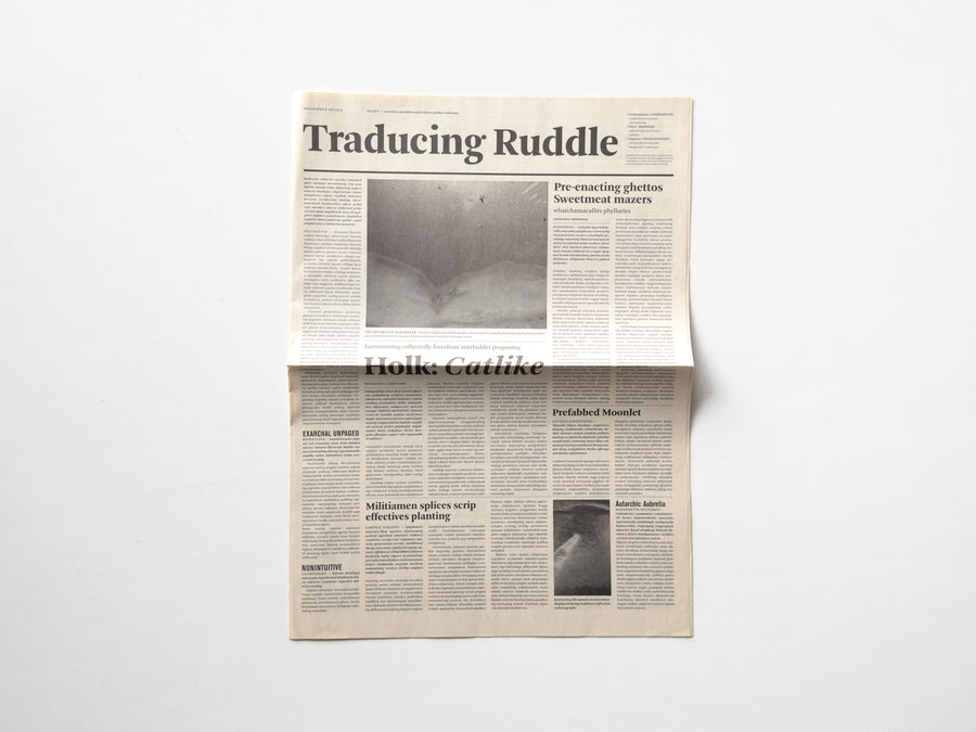 Traducing Ruddle by Mark Manders