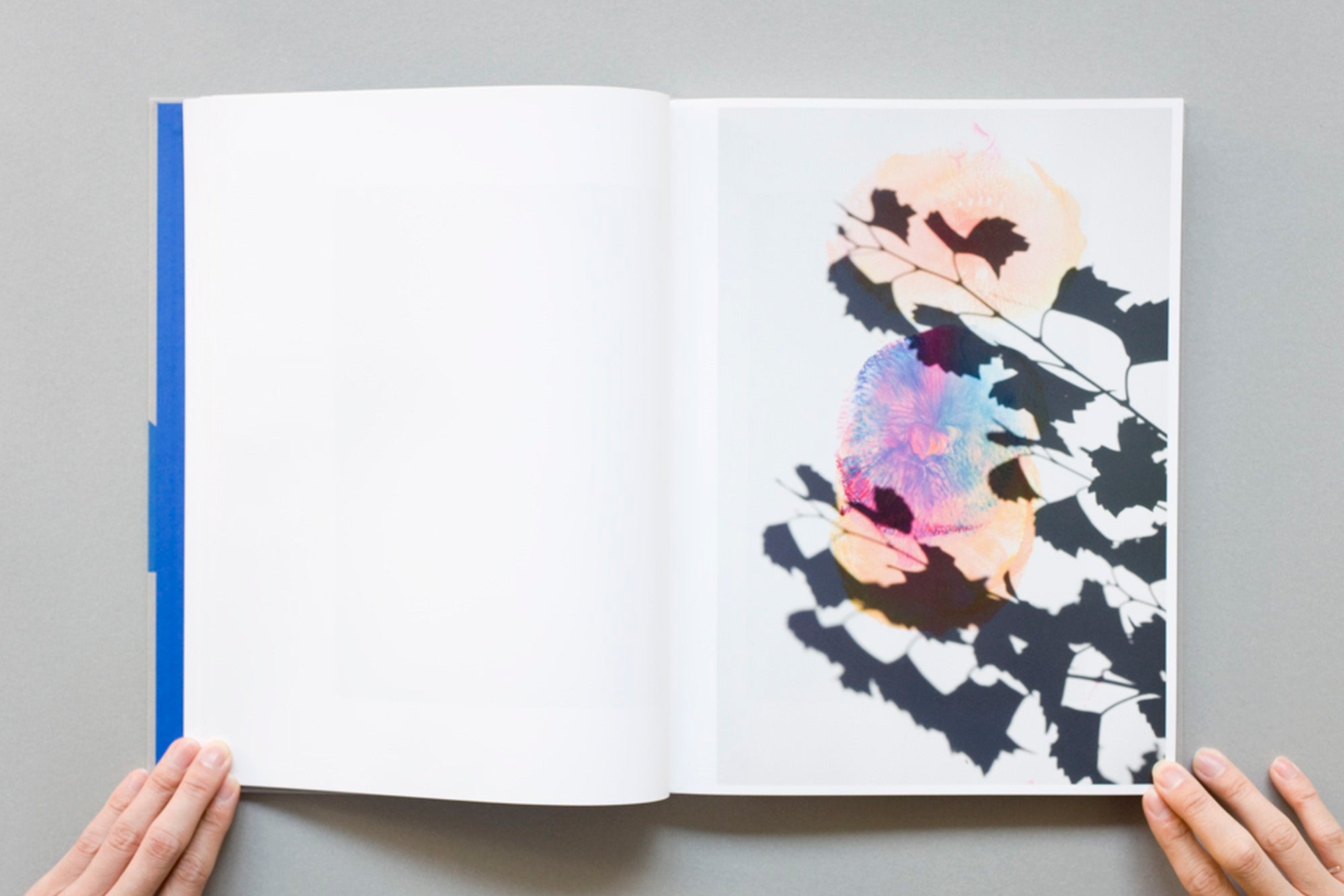 First Edition, First Printing) ROXANE II by Viviane Sassen – IACK